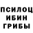 Псилоцибиновые грибы мухоморы Dima IlIchev
